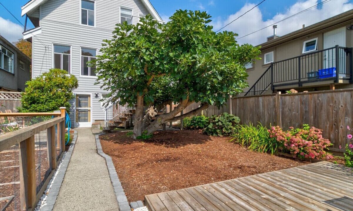 Photo of Outdoor in East Side