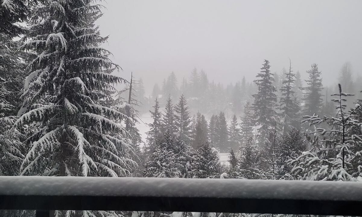 Photo of Outdoor in Whistler