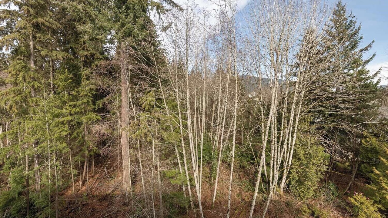 Photo of Others in District of North Vancouver