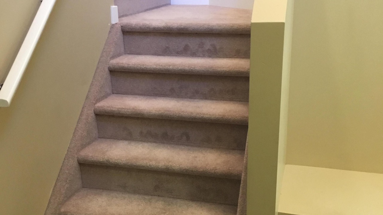 Photo of Others in Panorama Hills