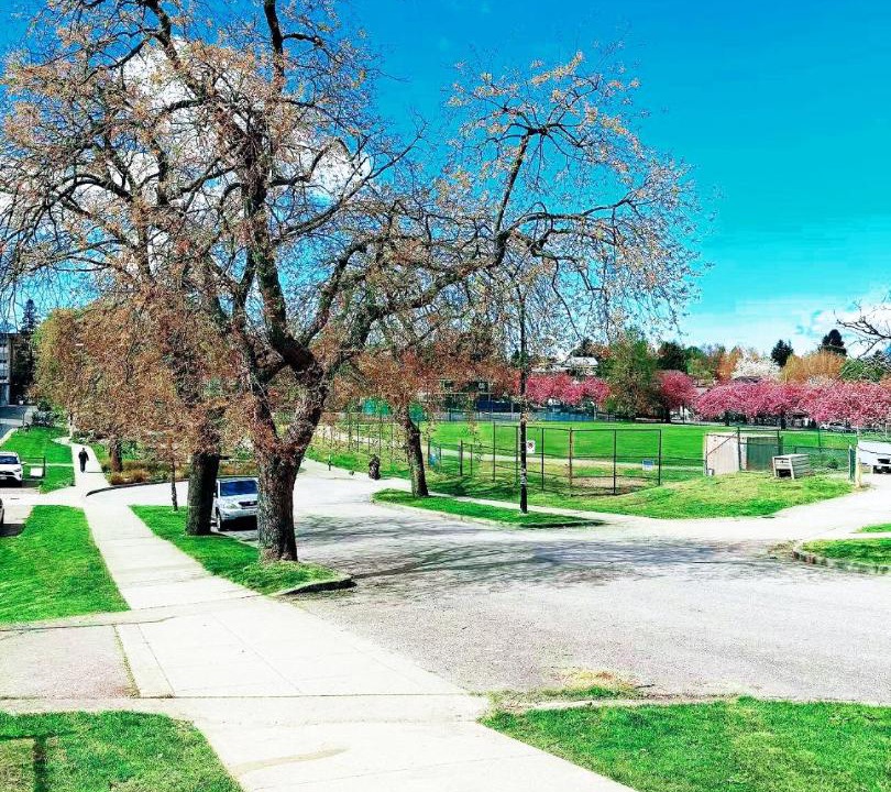 Photo of Others in Riley Park