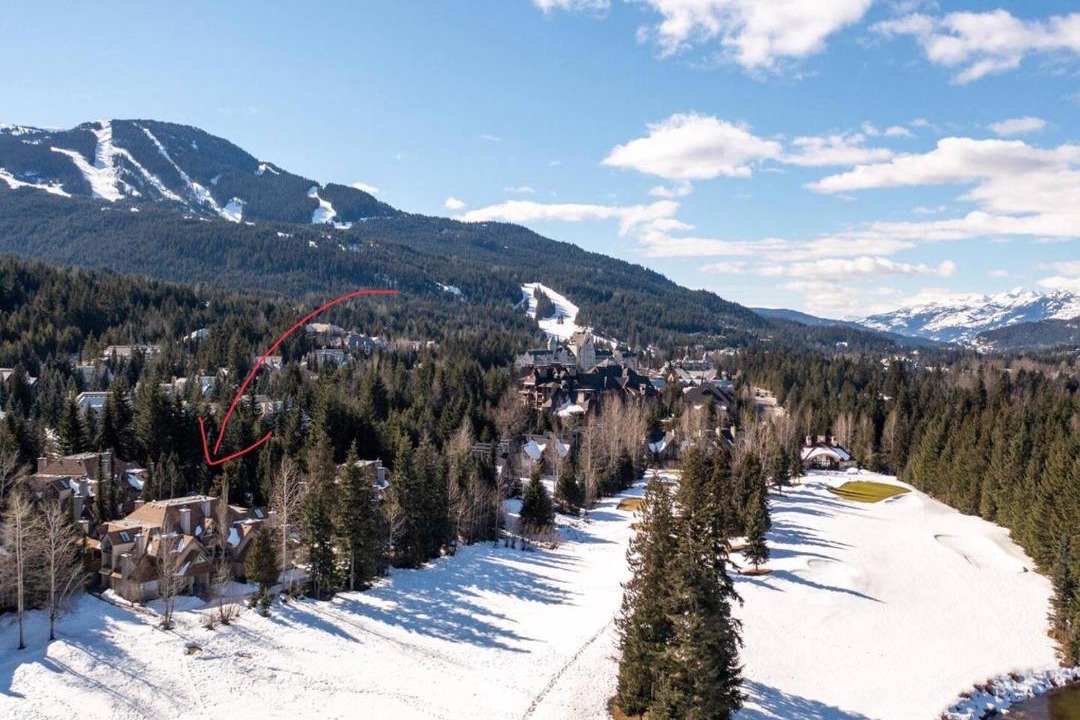 Photo of Others in Blackcomb