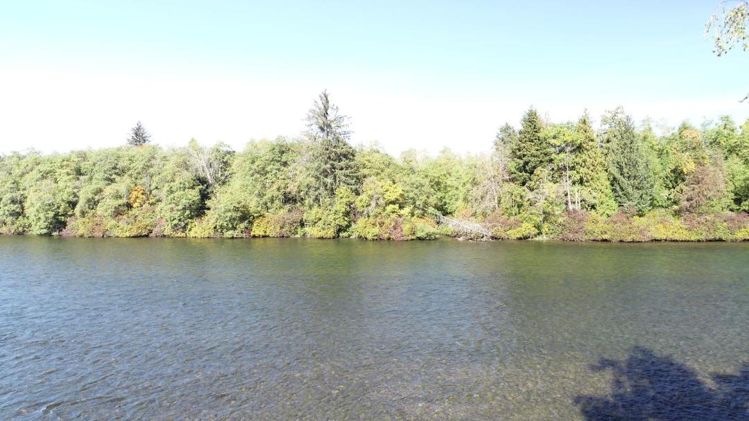 Photo of Others in Campbell River