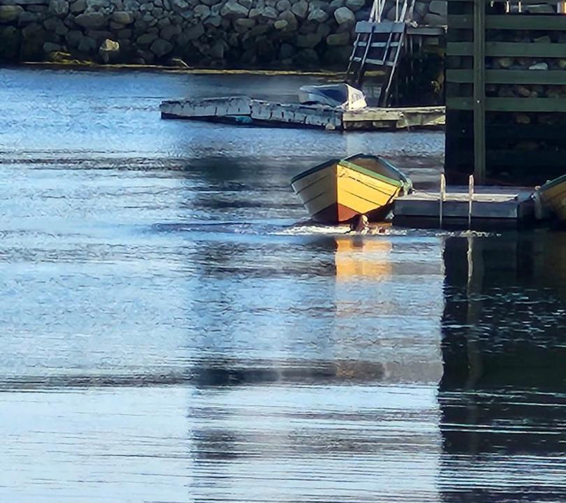 Photo of Others in Ketch Harbour