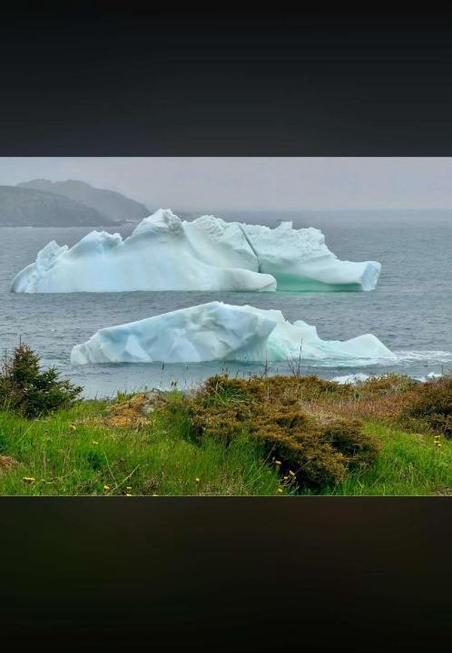 Photo of Others in Twillingate