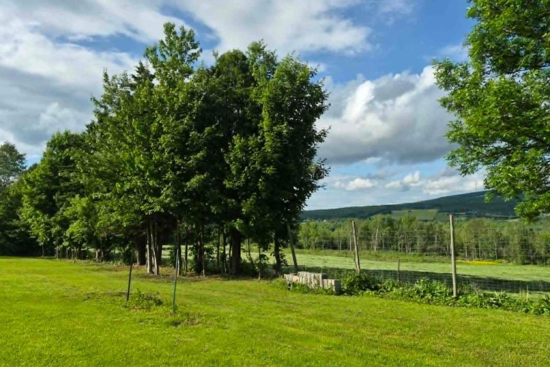 Photo of Others in Saint-Jean-de-Brebeuf