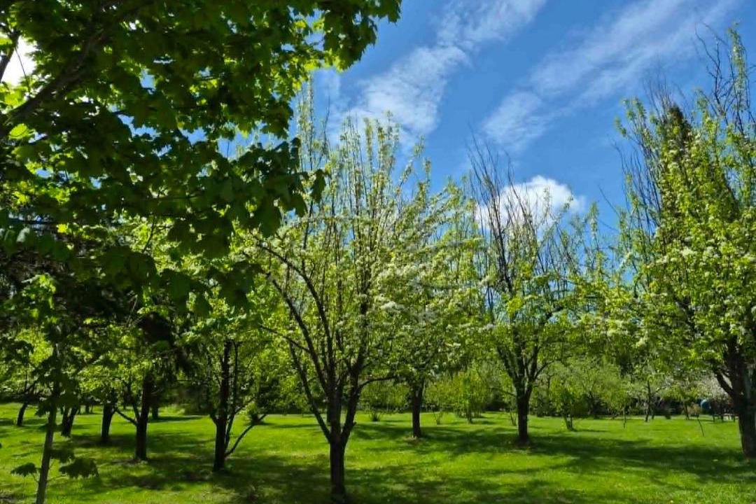 Photo of Others in Saint-Jean-de-Brebeuf