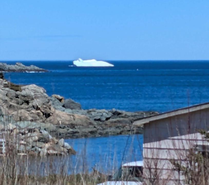 Photo of Others in Twillingate