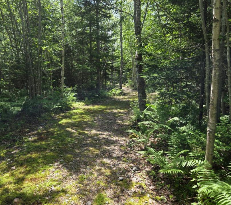 Photo of Others in Inverness County