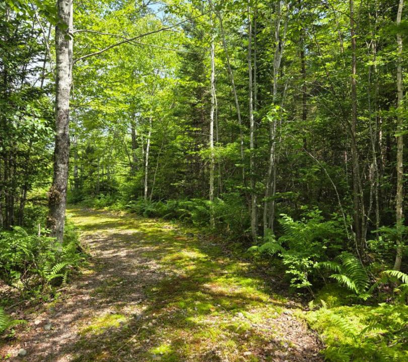 Photo of Others in Inverness County
