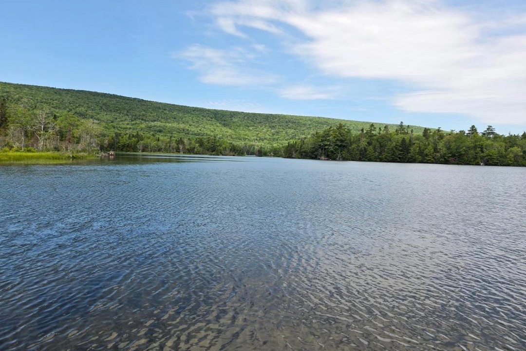 Photo of Others in Inverness County