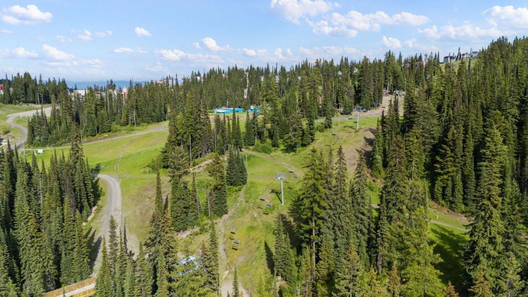 Photo of Others in Silver Star Mountain