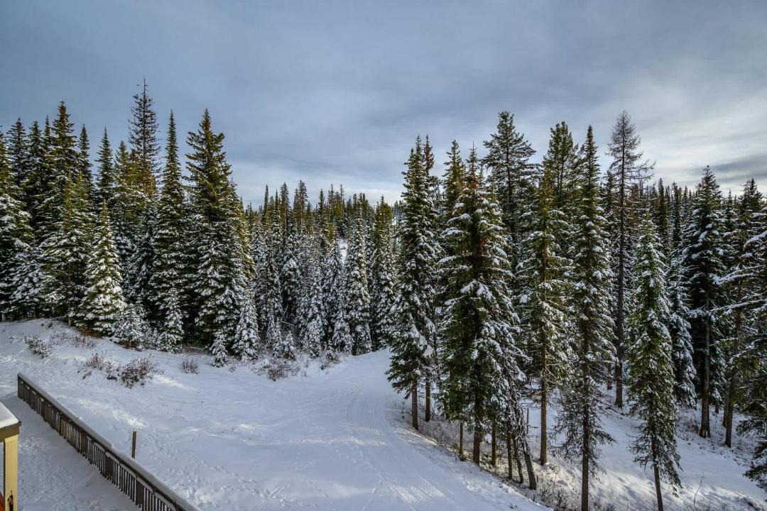 Photo of Others in Silver Star Mountain
