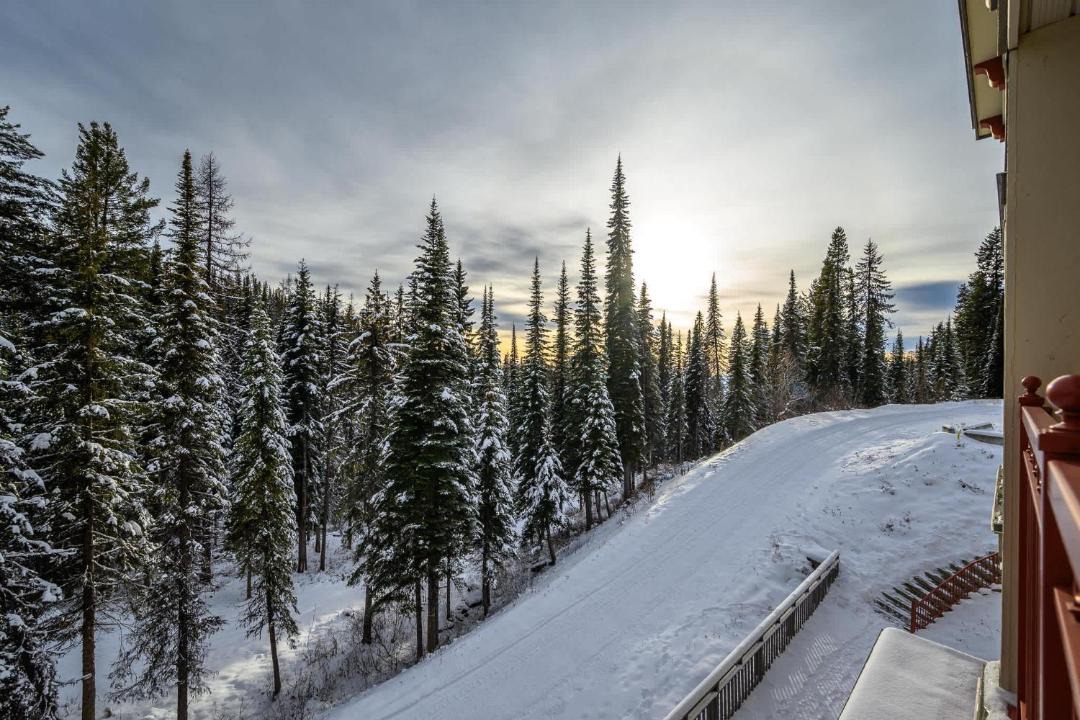 Photo of Others in Silver Star Mountain