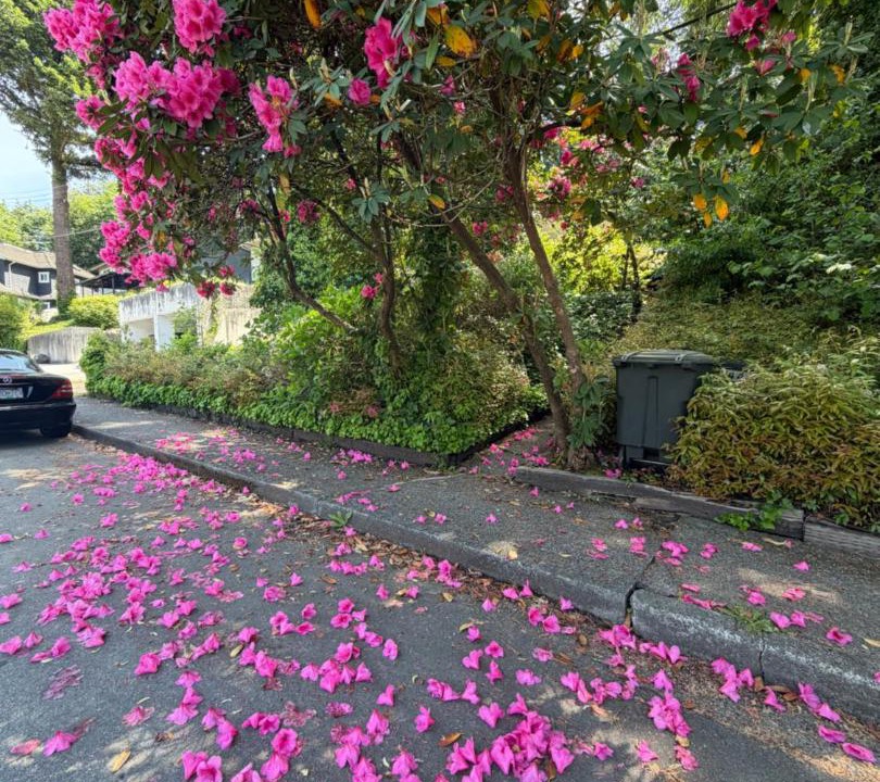 Photo of Outdoor in Burnaby