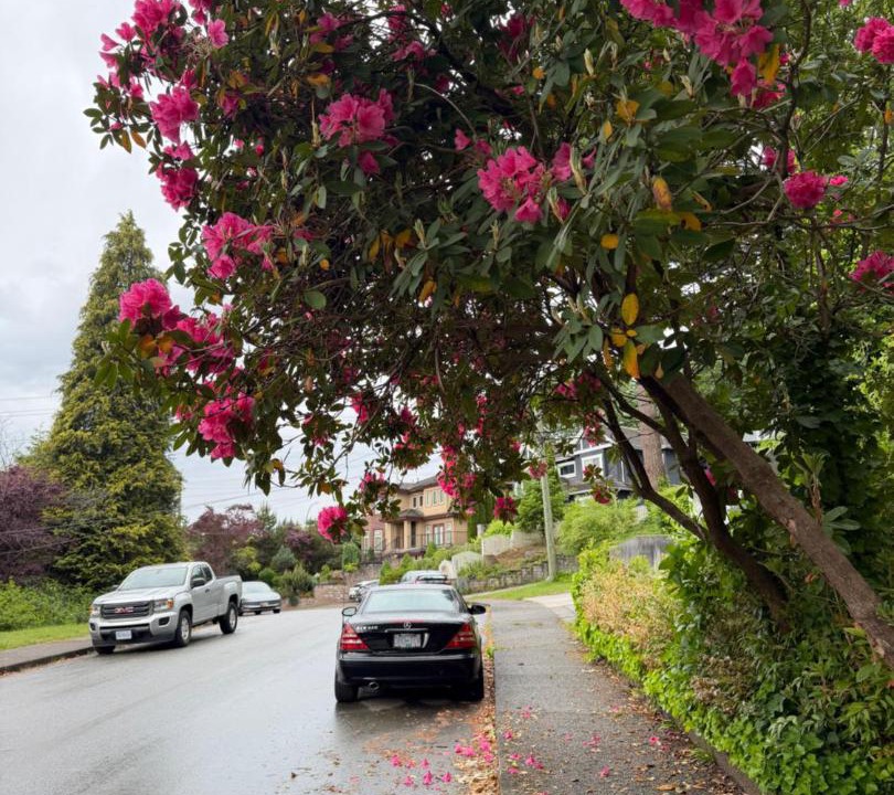 Photo of Others in Burnaby