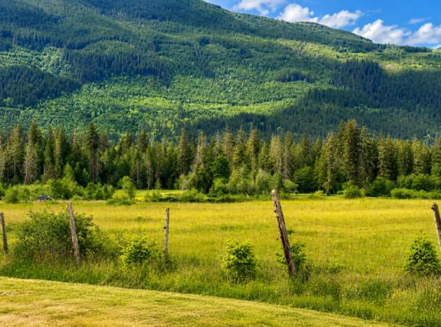 Photo of Others in Port Alberni