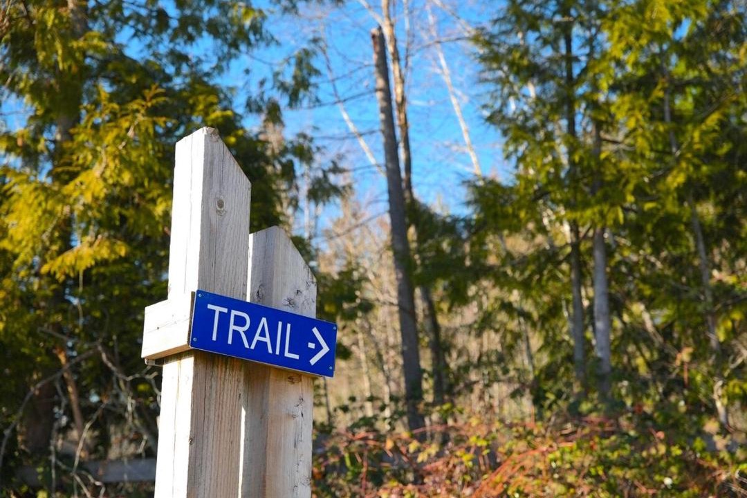 Photo of Others in Burke Mountain