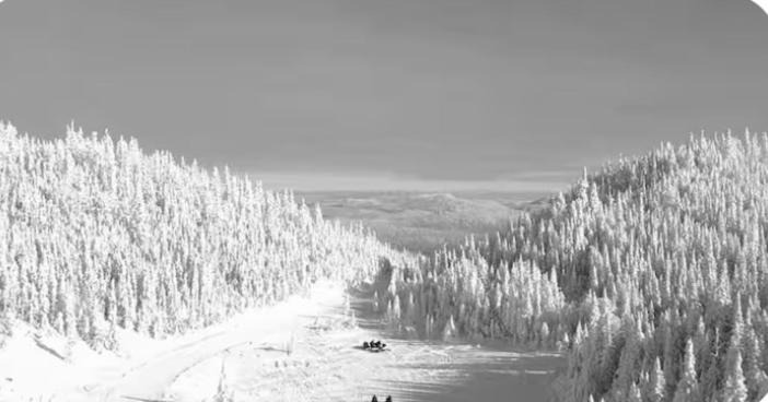 Photo of Human In Picture in Saint-David-de-Falardeau