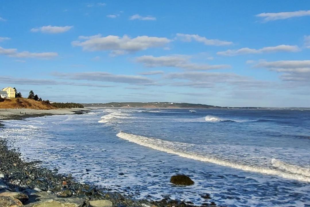 Photo of Others in Cows Bay