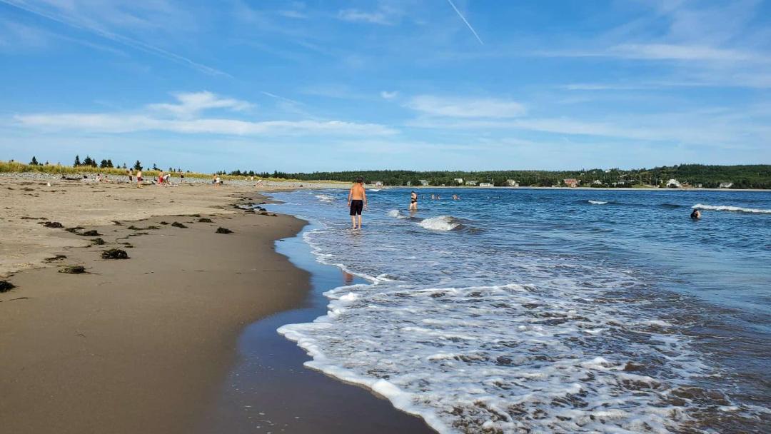 Photo of Others in Cows Bay