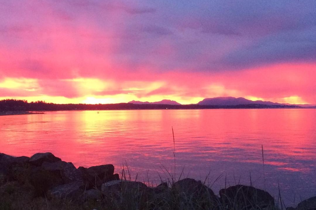 Photo of Others in Campbell River