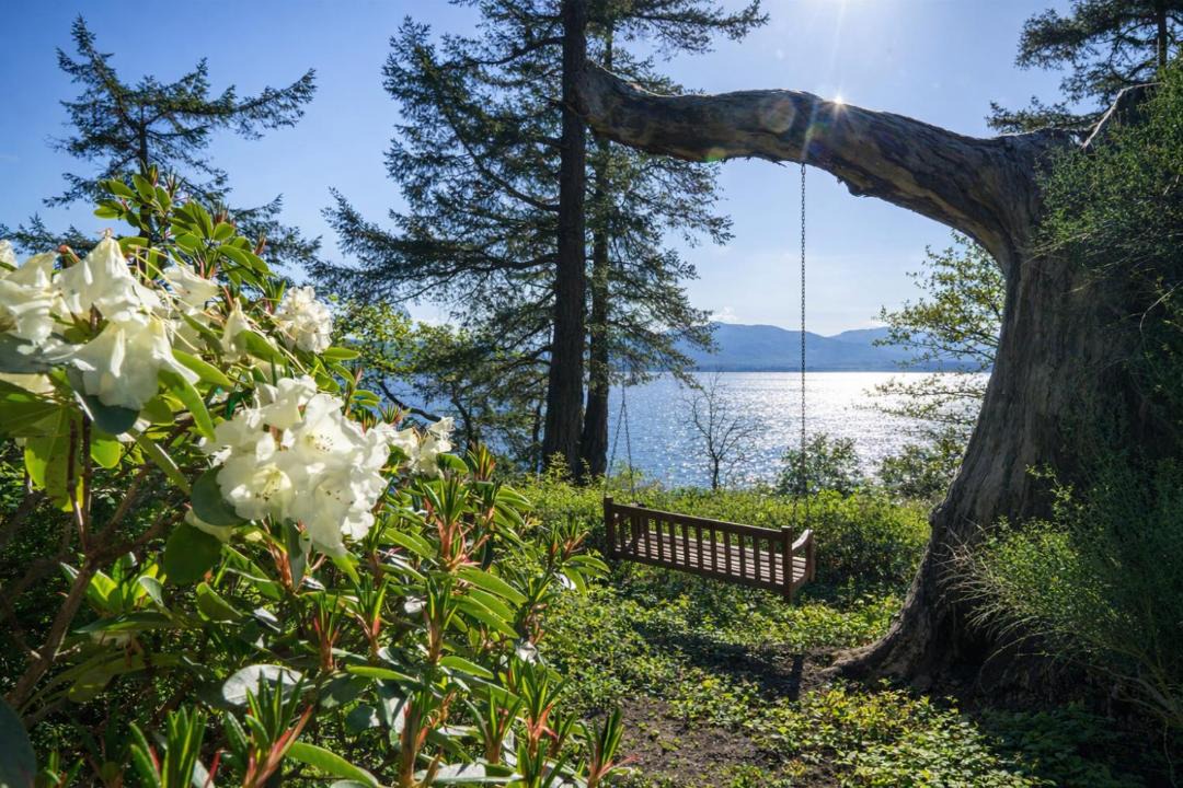 Photo of Others in Salt Spring Island