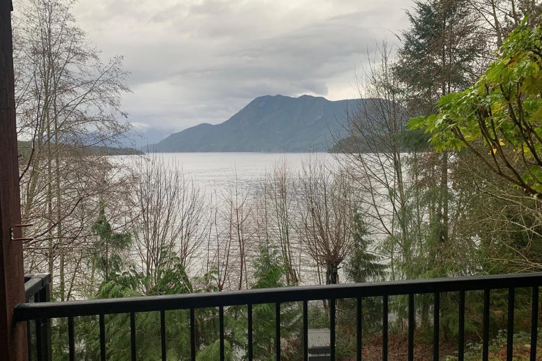 Photo of Others in West Porpoise Bay