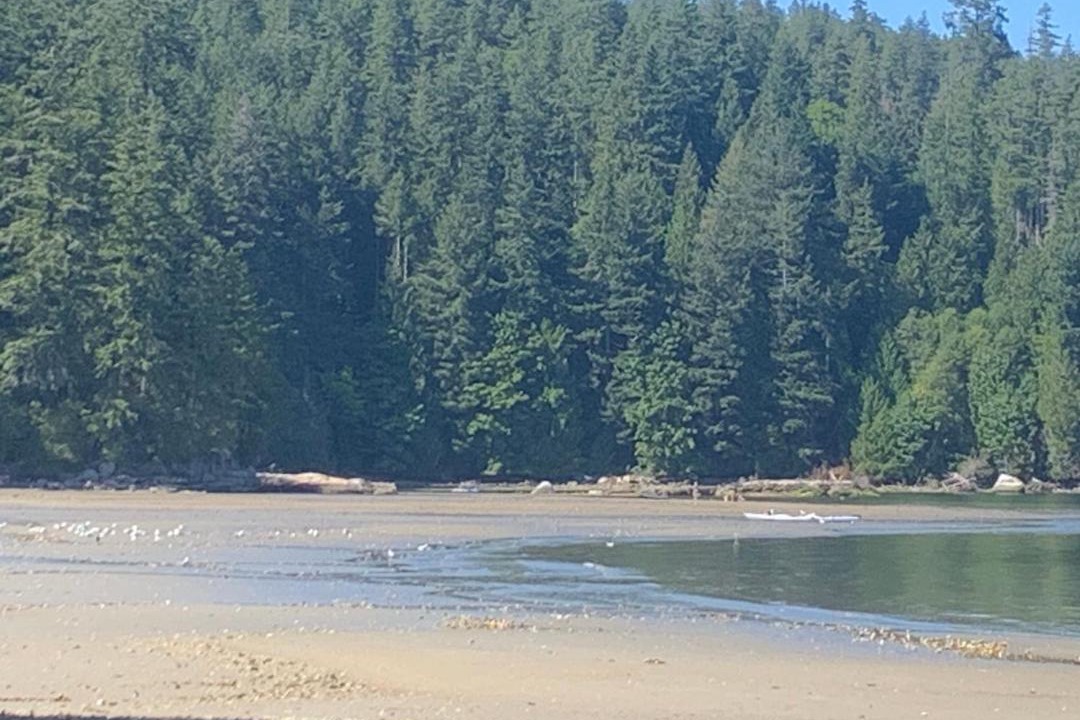 Photo of Others in West Porpoise Bay