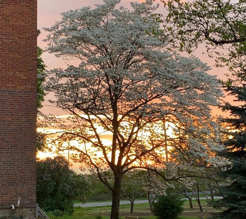 Photo of Others in Niagara-on-the-Lake
