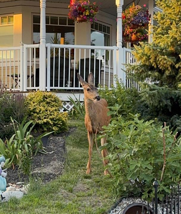 Photo of Others in Southwest Mission