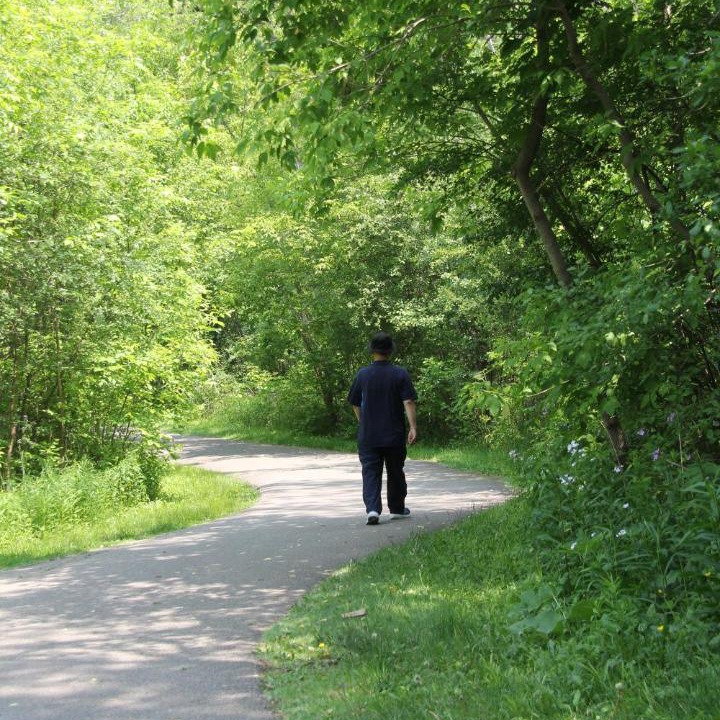 Photo of Others in Bayview Woods - Steeles