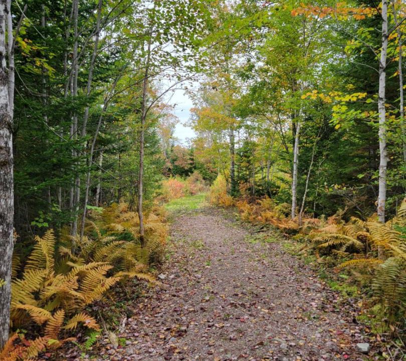 Photo of Others in Inverness County