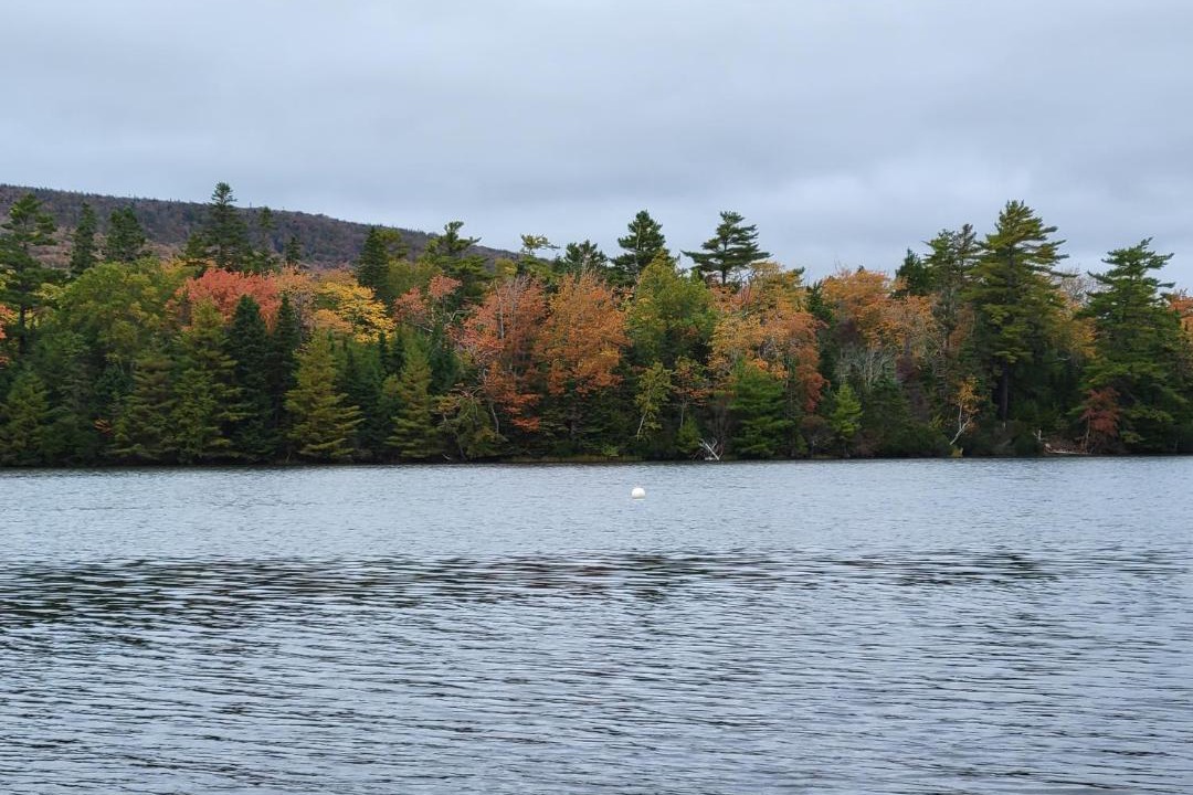 Photo of Others in Inverness County