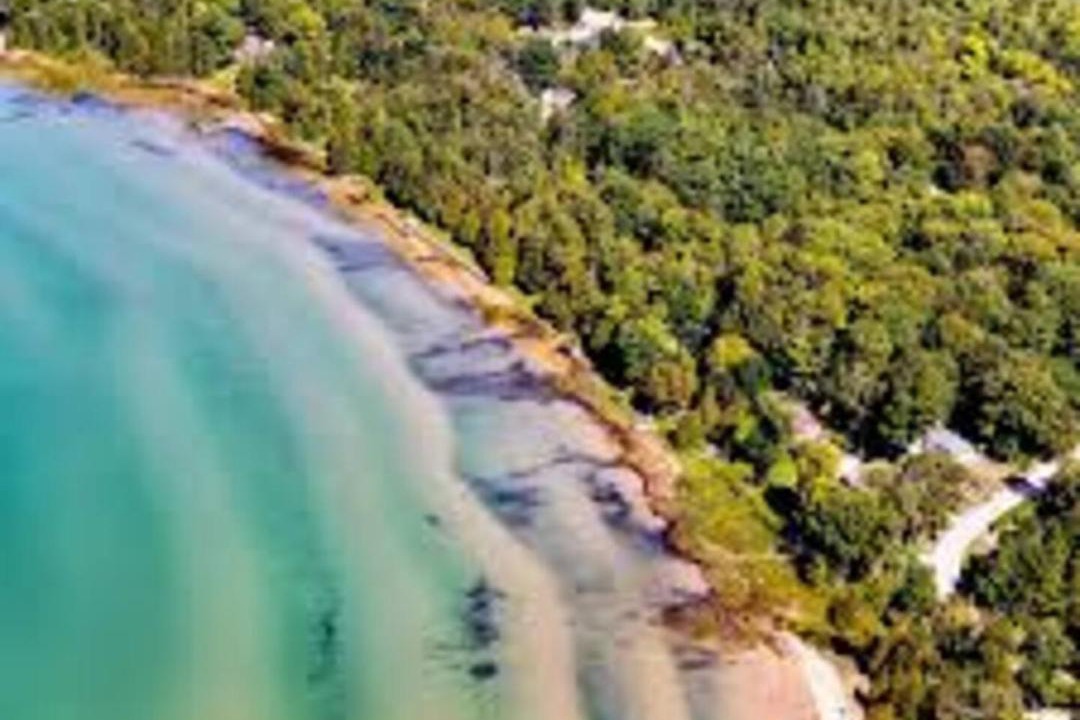 Photo of Others in South Bruce Peninsula