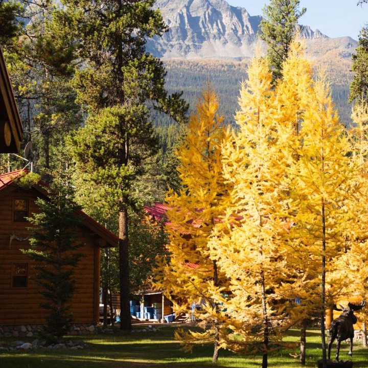 Photo of Others in Lake Louise