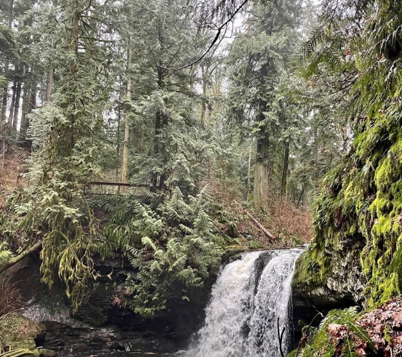 Photo of Others in Chemainus