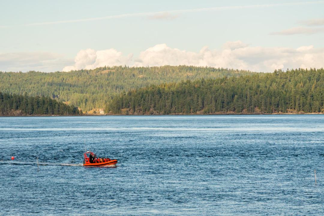 Photo of Others in Campbell River