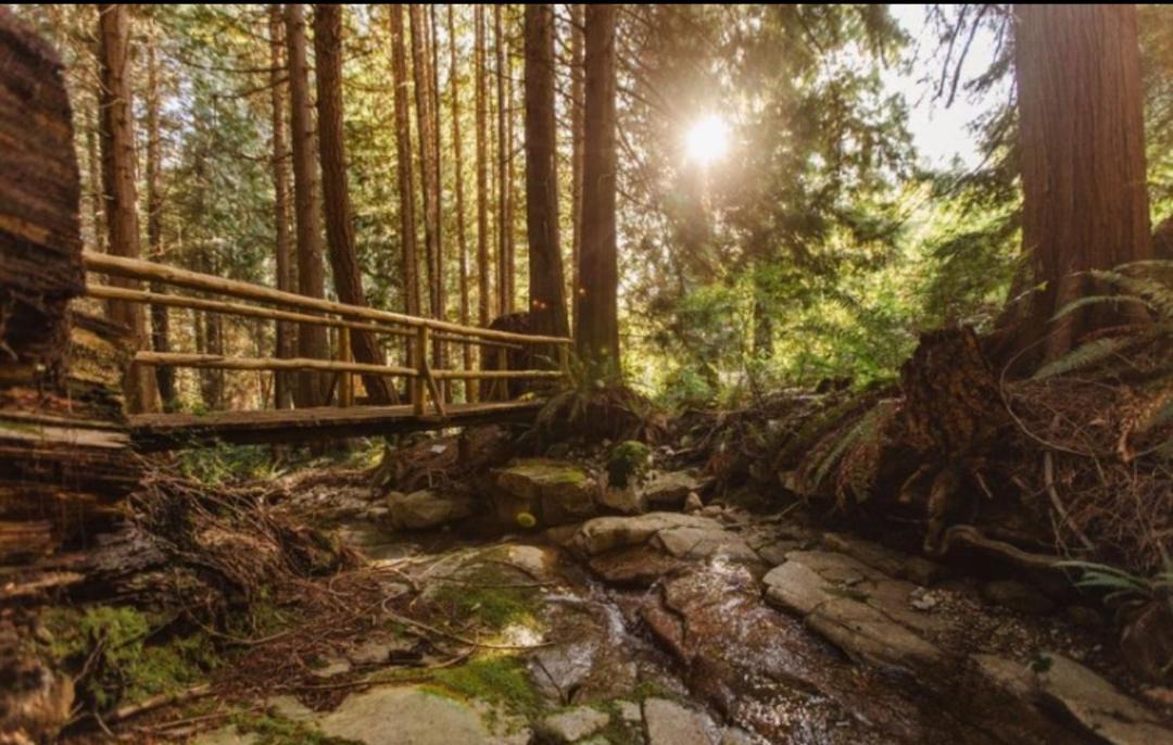 Photo of Others in Roberts Creek