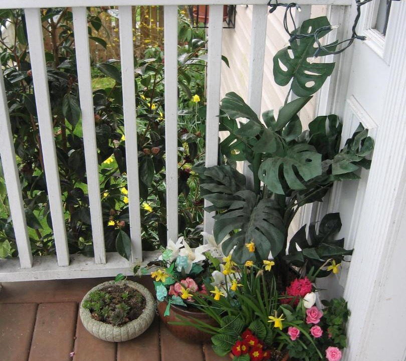 Photo of Patio Balcony in Crofton