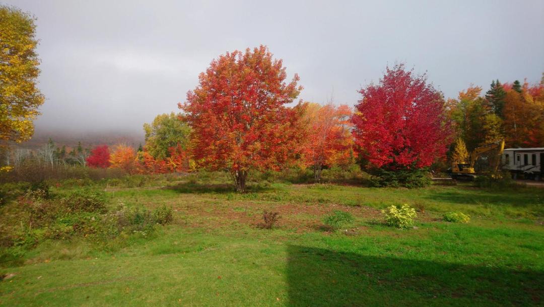 Photo of Others in Inverness County