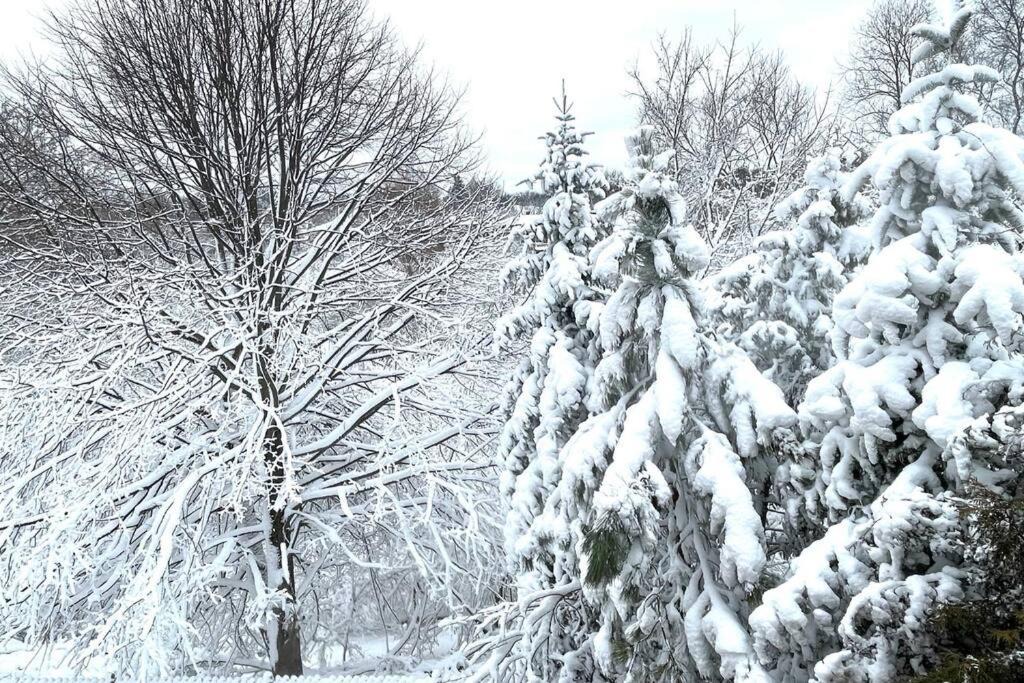 Photo of Others in Bayview Woods - Steeles