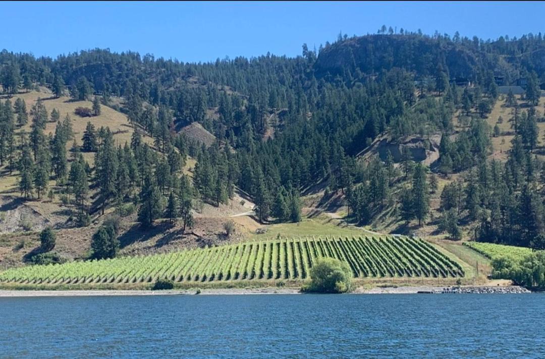 Photo of Others in Central Okanagan