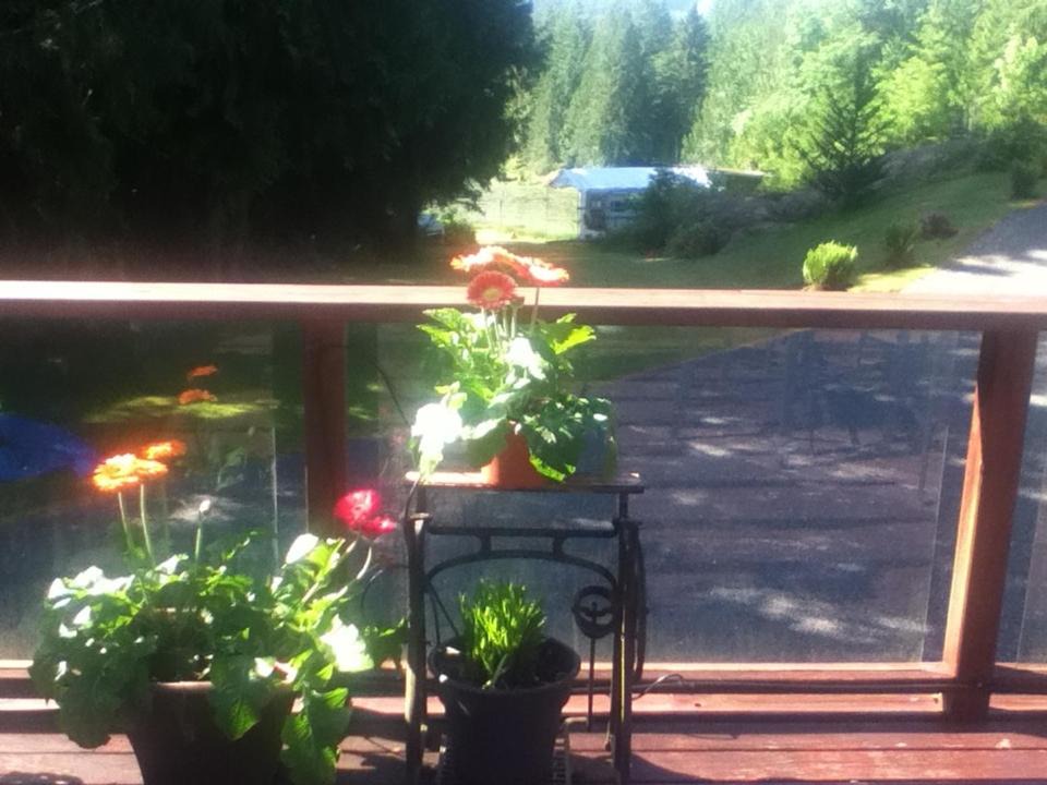 Photo of Others in Port Alberni