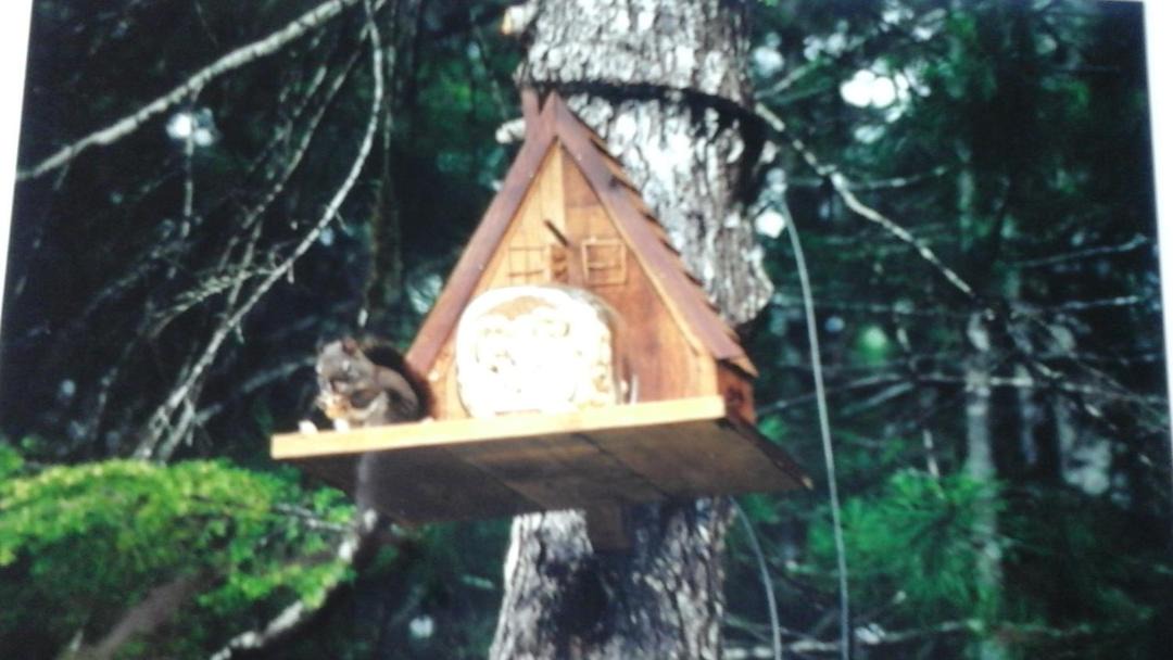 Photo of Others in Port Alberni