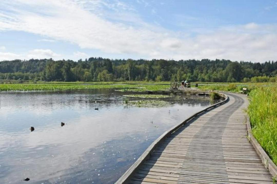 Photo of Others in Renfrew-Collingwood