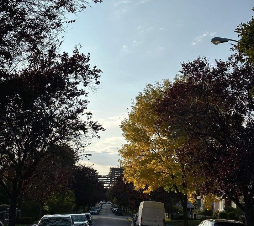Photo of Others in Vancouver South