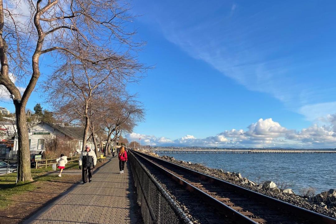 Photo of Others in Crescent Beach