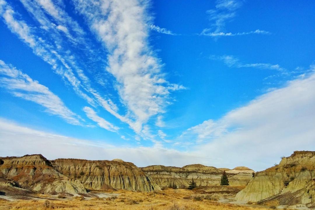 Photo of Others in Drumheller