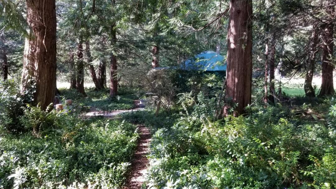 Photo of Others in Metchosin